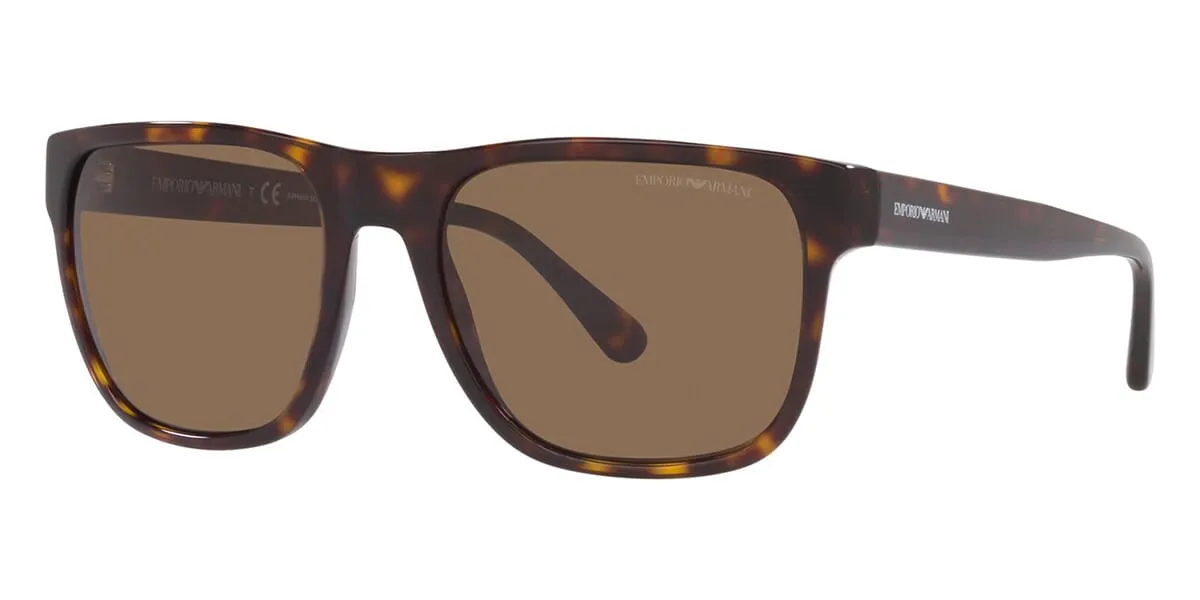 Emporio Armani EA4163 5879/73
