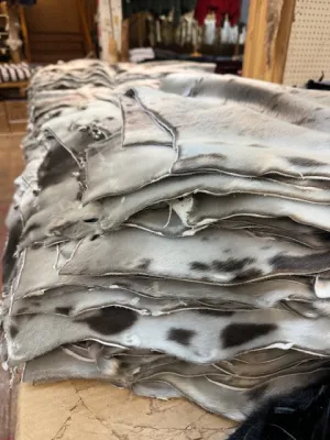 Natural Harp Seal Fur Skins